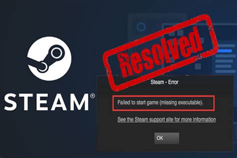 steam missing executable|launching executable steam.